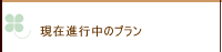 現在進行中のプラン